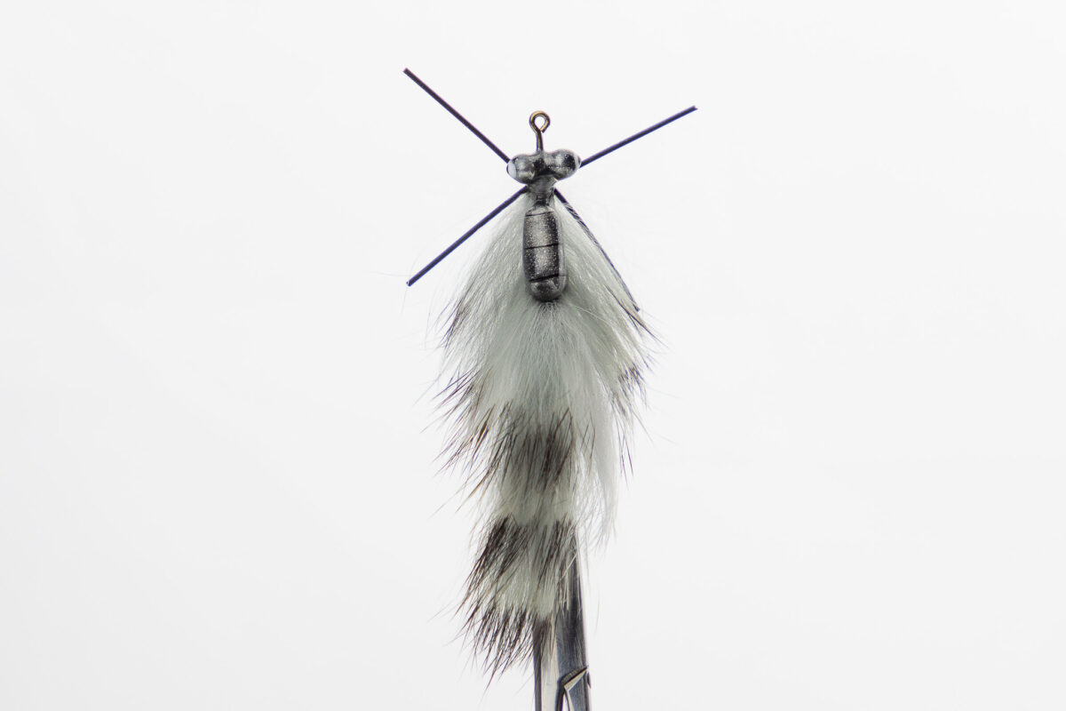 _E5A3579-Edit