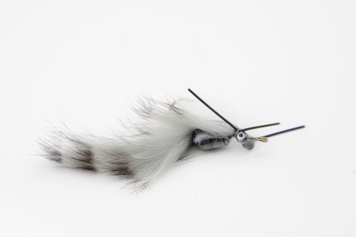 _E5A3588-Edit