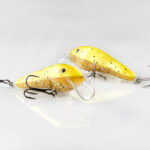 Lant Kollane karamell säbru