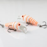 Röövik Valge-oranz