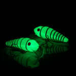 Röövik Pimedas helendav vöödiline