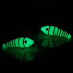 Röövik Pimedas helendav vöödiline