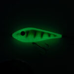 Ahven Pimedas Helendav