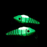 Röövik Ööpüük Vöödiline