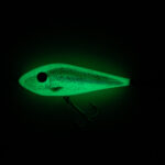 Vikerforell Pimedas Helendav