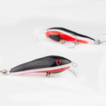 Lant Must-valge-punane-must eripartii