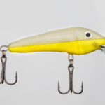 Lant Hõbe-kollane eripartii