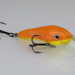 Lant Oranz-kollane eripartii