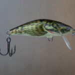 Salmo BULLHEAD - QBD001 - Ujuv