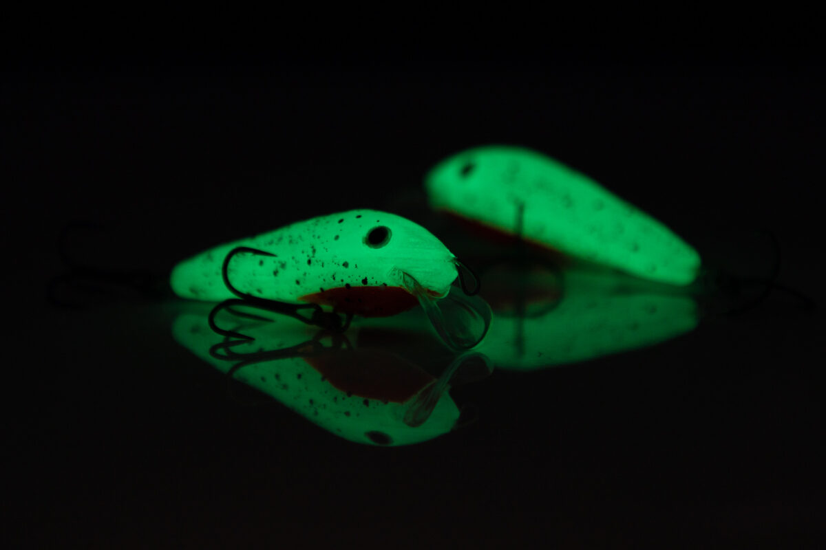 Lant Pimedas helendav säbru (punane kõht) - Image 2