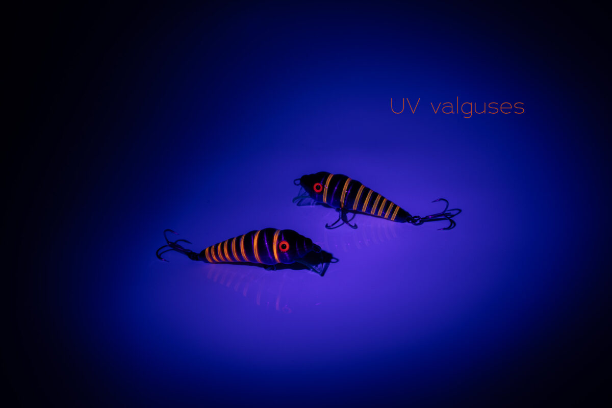 Röövik Lillakas-sinine vöödiline - Image 2