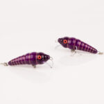 Röövik Lilla sädelev